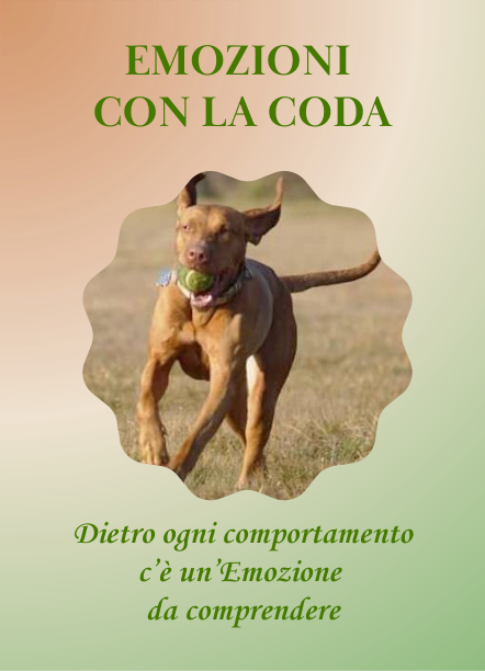Card Emozioni con la Coda