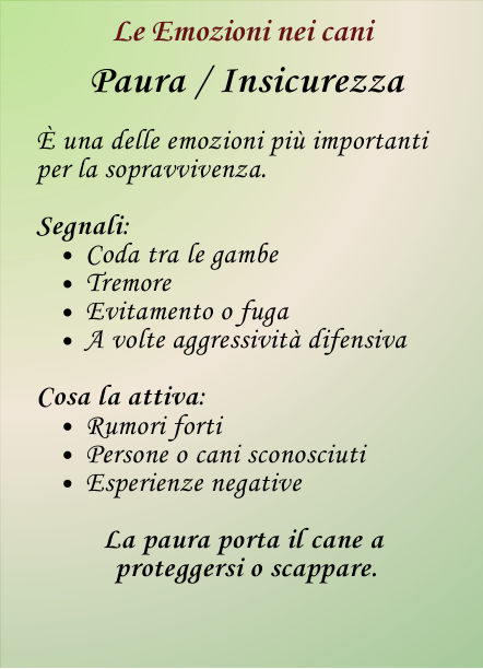 Scheda sulla paura nel cane